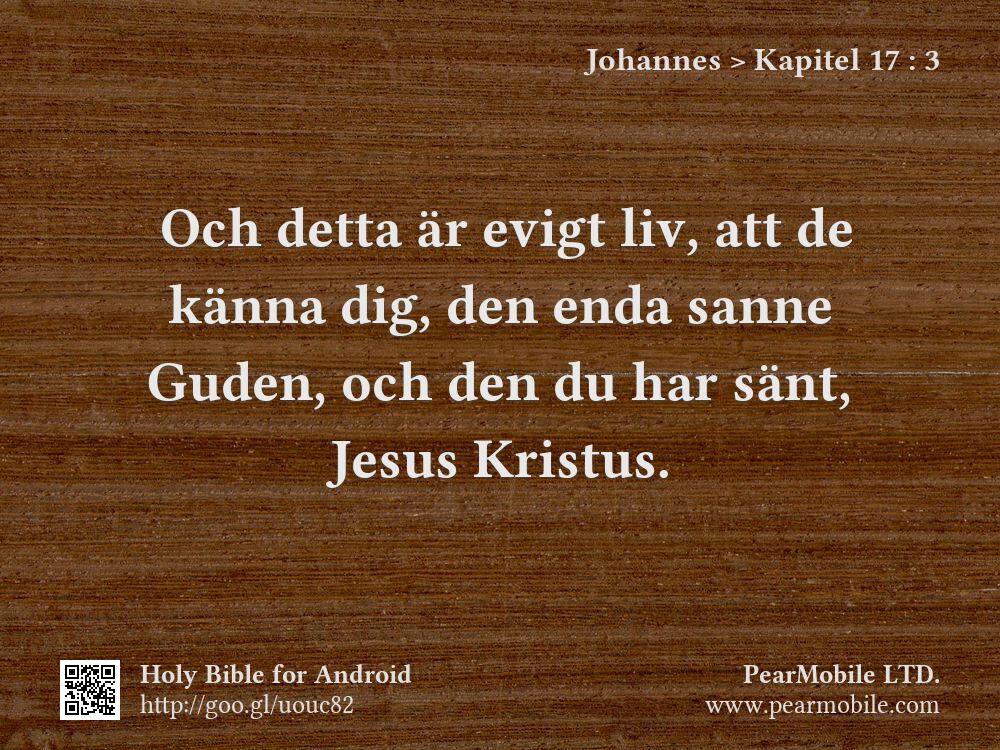 Johannes, Kapitel 17:3